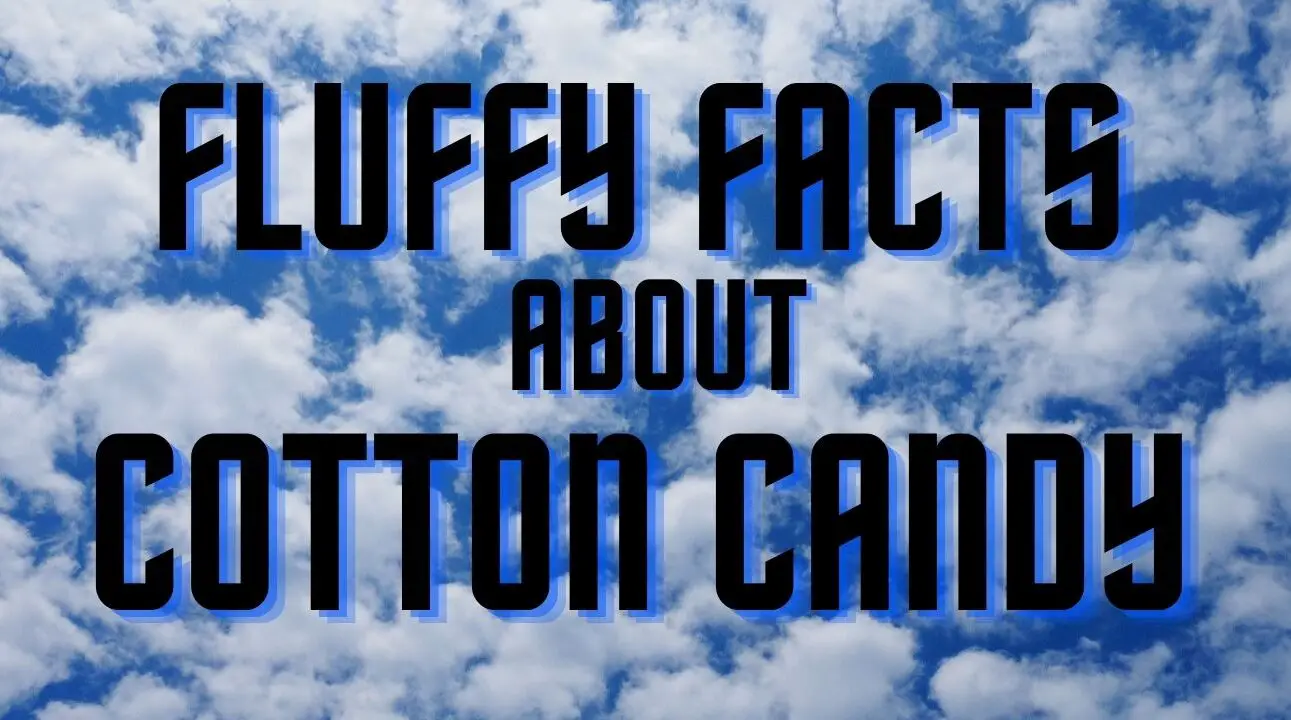 6 Fluffy Facts About Cotton Candy