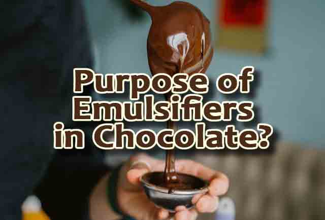 What’s the Purpose of Emulsifiers in Chocolates? (Answered)