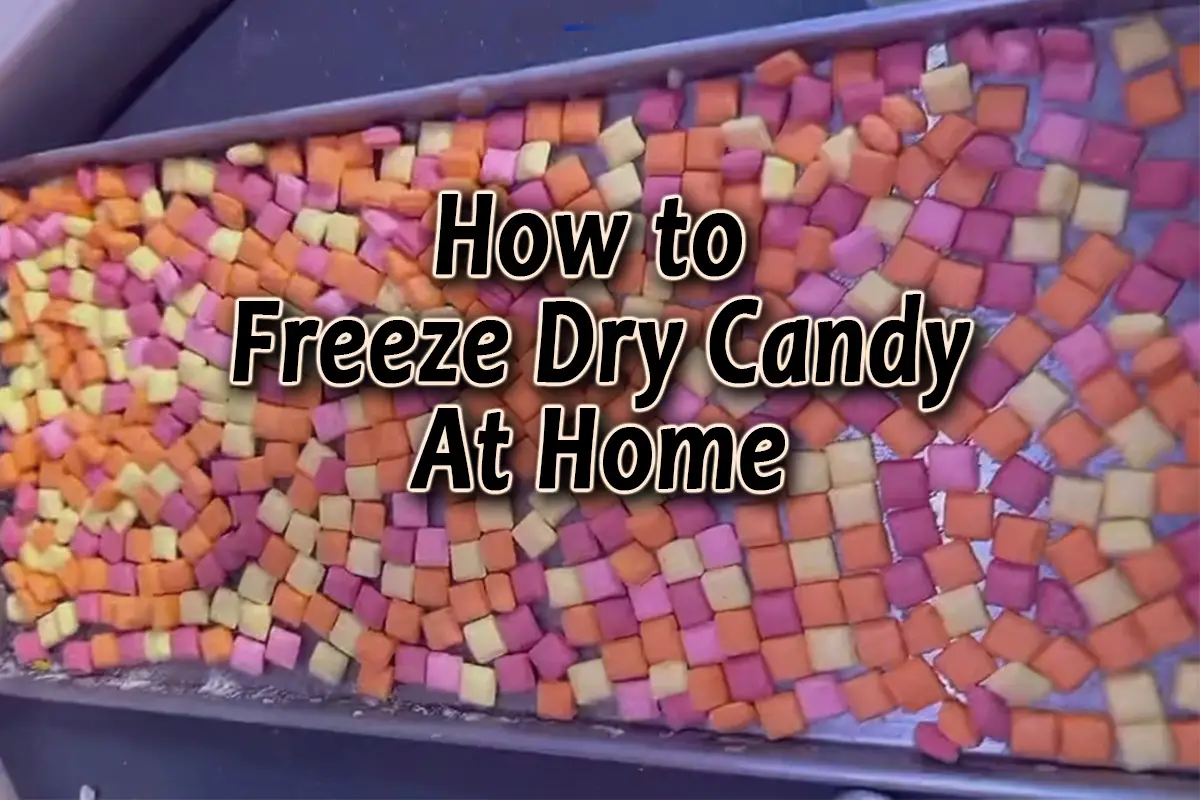 Freeze Dry Candy at Home (How to Start)